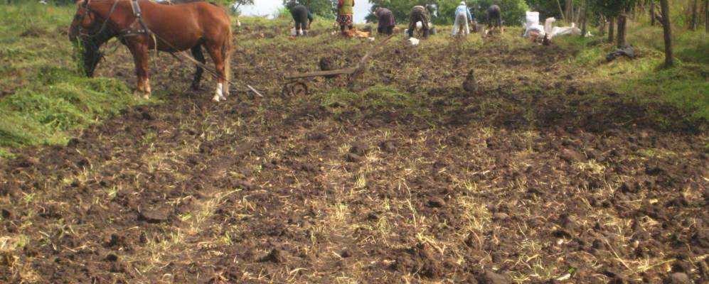 
            Фотография Книсела