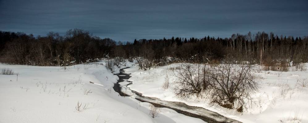 
            Фотография Харино