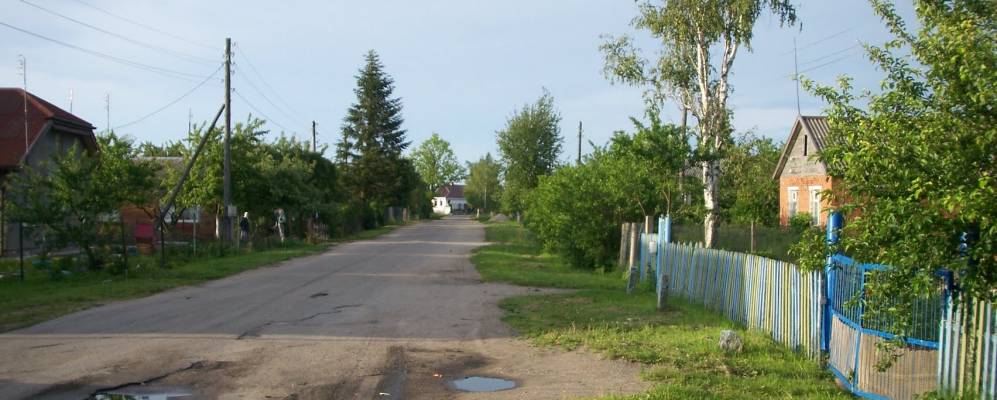 
            Фотография Дружного