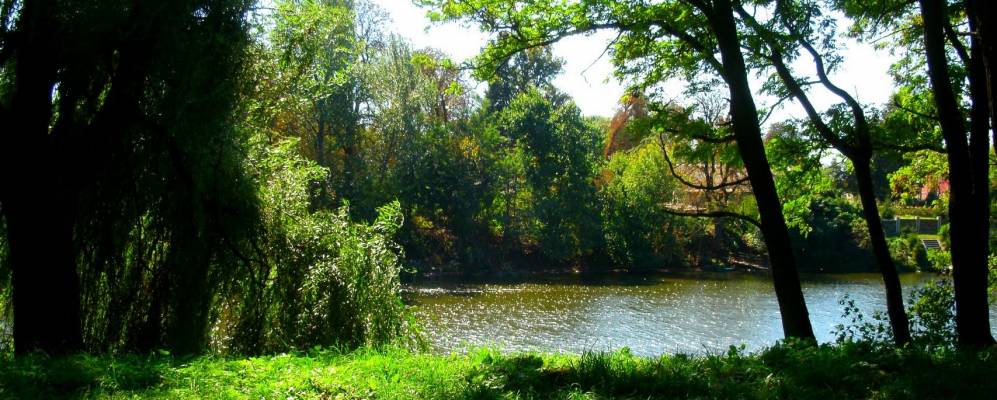 
            Фотография Тарасовки