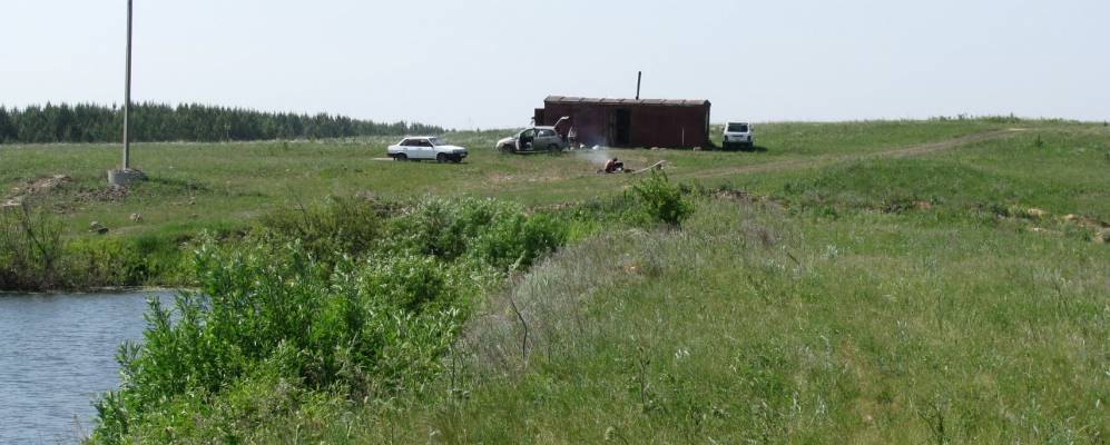 
            Фотография Эстонского