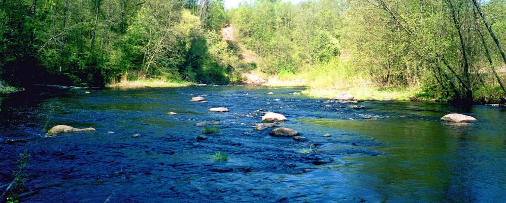 
            Фотография Шеляпино