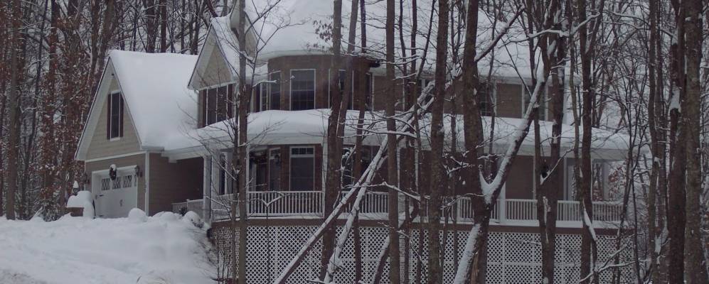 
            Фотография Шеди Спринга