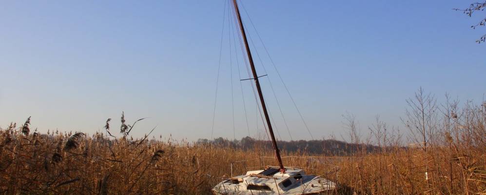 
            Фотография Гивартова