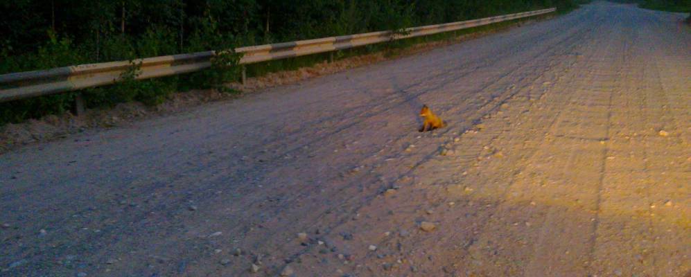 Фотография Копытовской