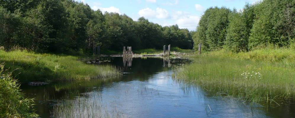 
            Фотография Шутово