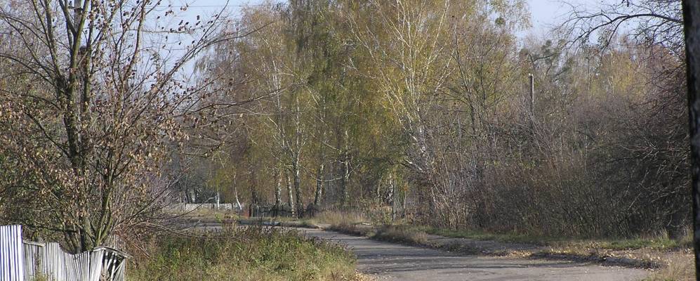 
            Фотография Купища