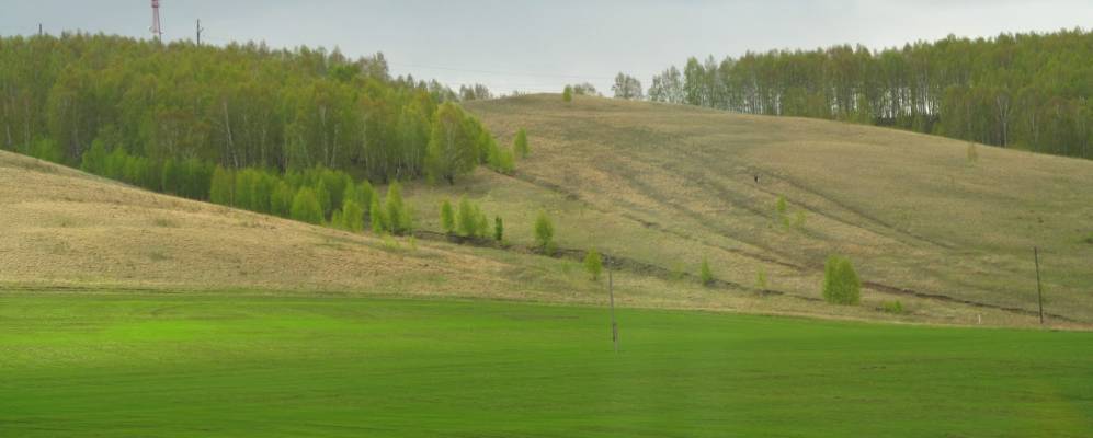 
            Фотография Васильевки