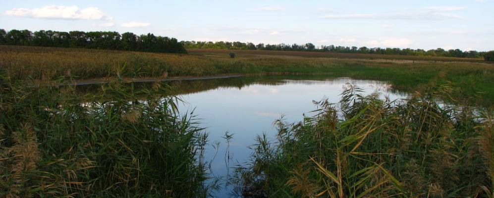 
            Фотография Хвыли