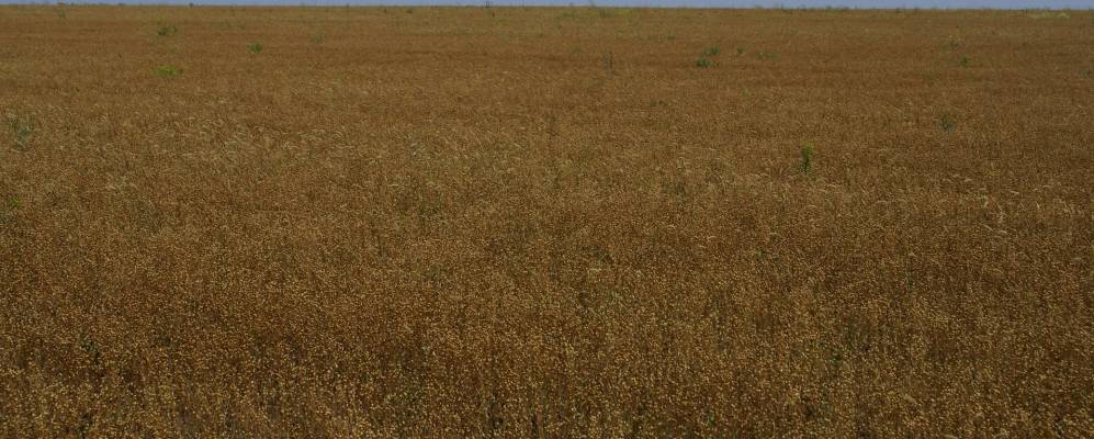 
            Фотография Макаровского