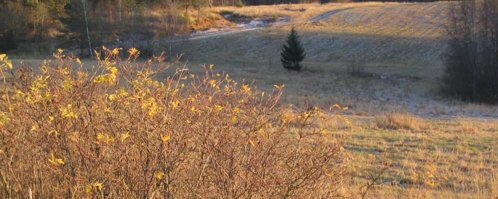 
            Фотография Воронцово