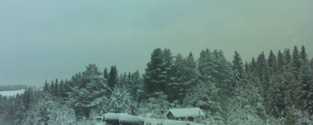 Фотография Марьины