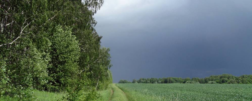 Фотография Руднево