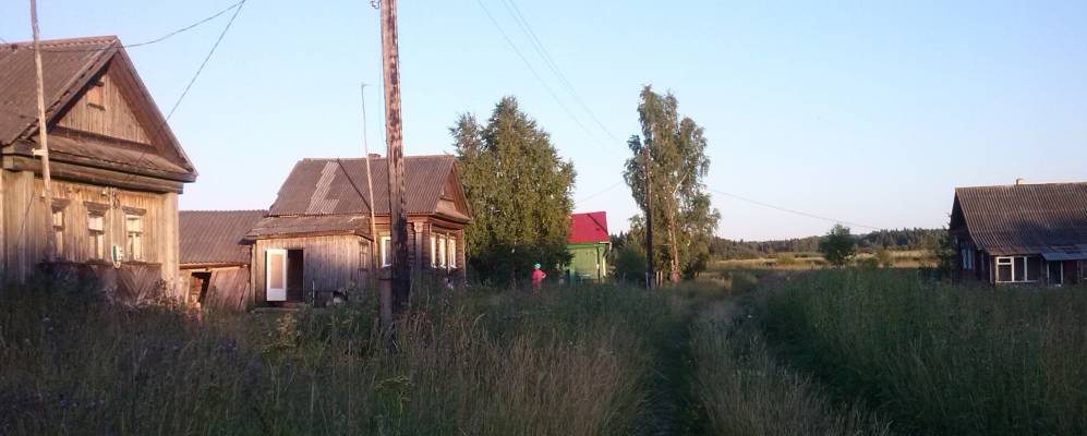 Фотография Васильково