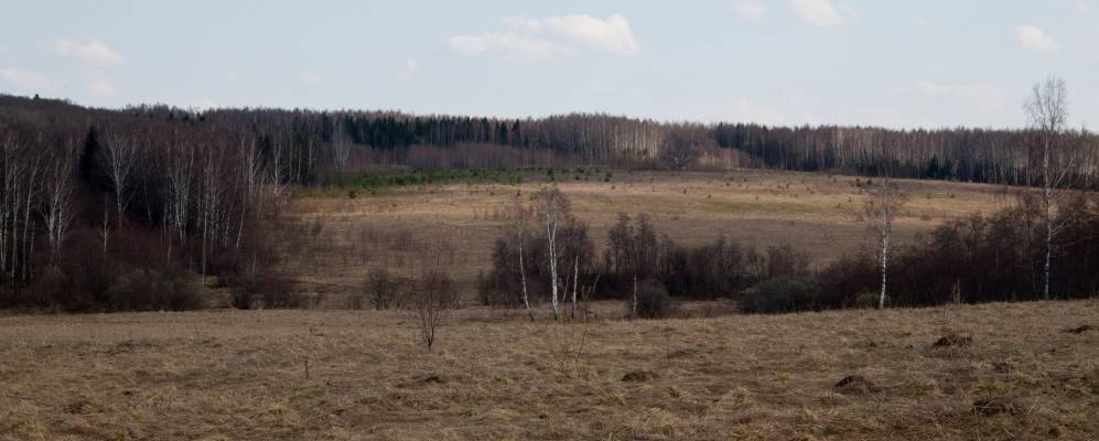 
            Фотография Ключевой