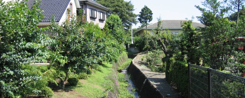 
            Фотография Мусасимураями