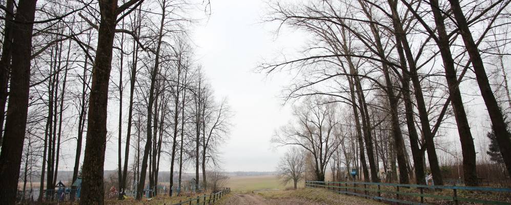 Фотография деревни Кипти