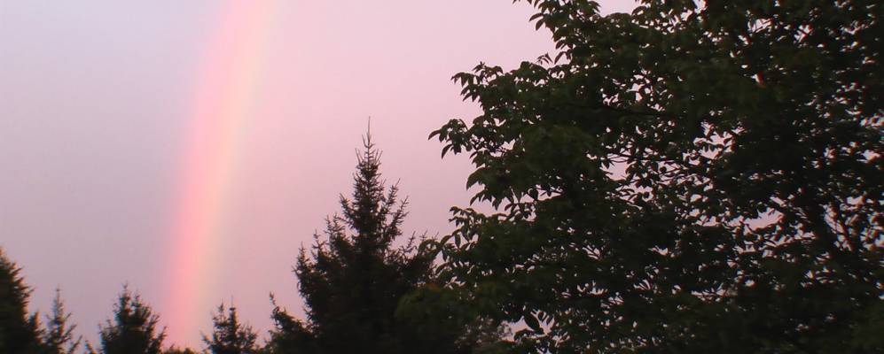 
            Фотография Вильфаржо