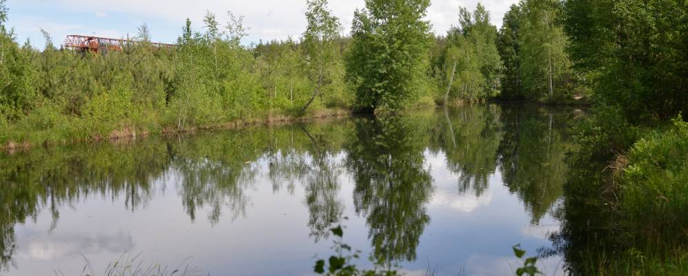 
            Фотография Новой Гуриновки