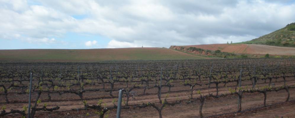 Фотография Лос-Аркос