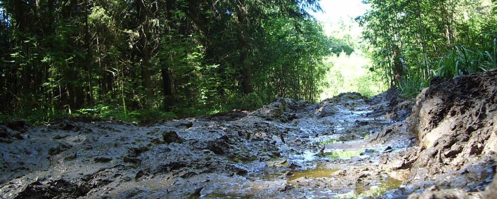 
            Фотография Жирослево