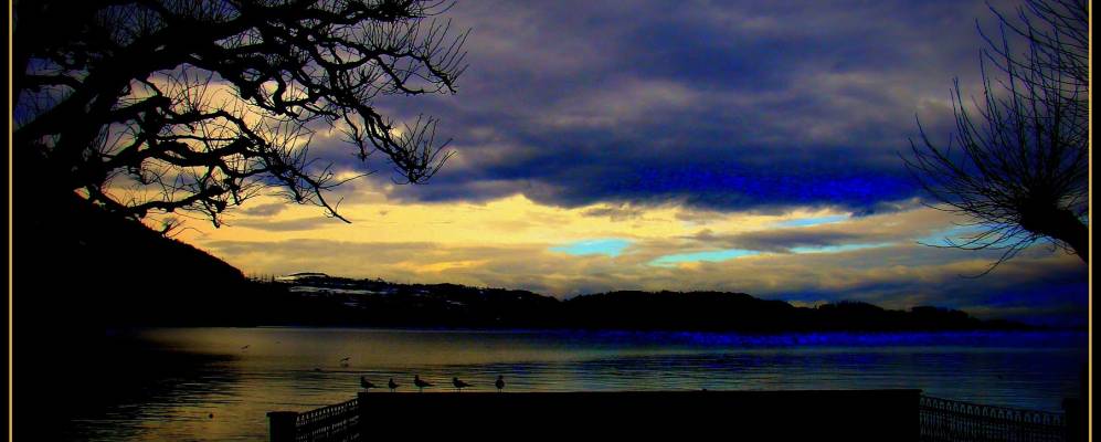 Фотография Арта