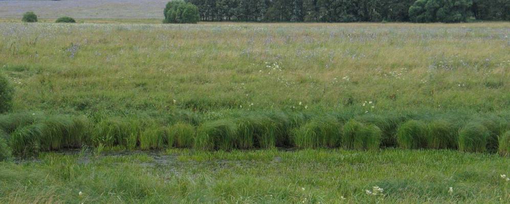 
            Фотография Красной Горки