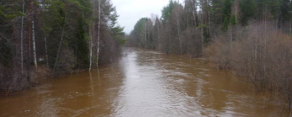 Фотография Вопиловых