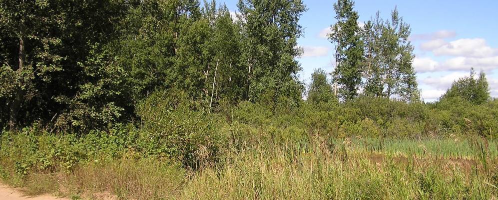 Фотография Горнево