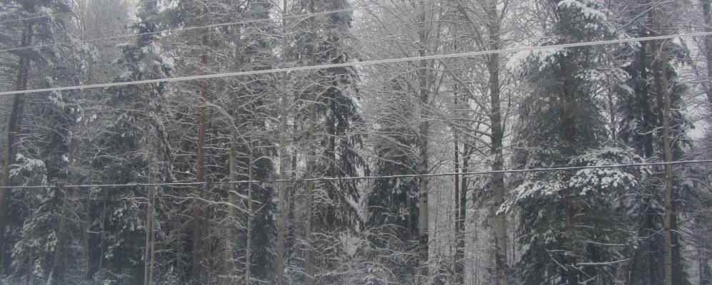 
            Фотография Кяппесельгы