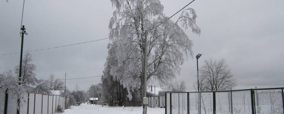 
            Фотография Павлово