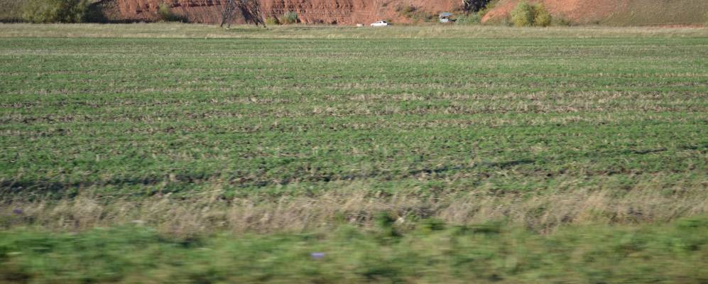 
            Фотография Хлебодаровки