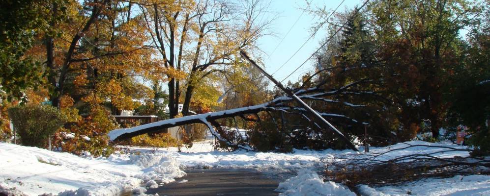 
            Фотография Шервуд Манора