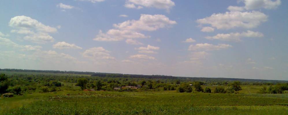 Фотография Трости