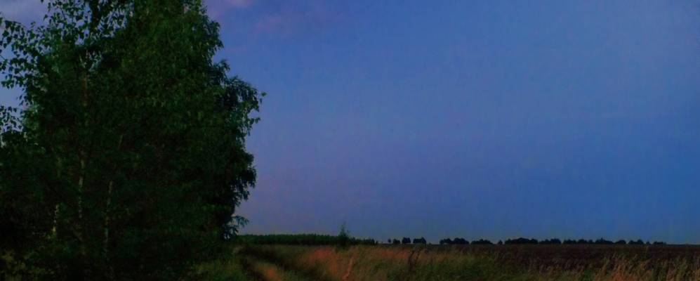 
            Фотография Сухорожни