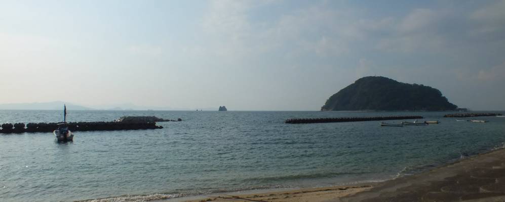 
            Фотография Хо