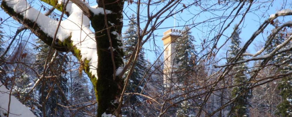 
            Фотография Лес Бренетса