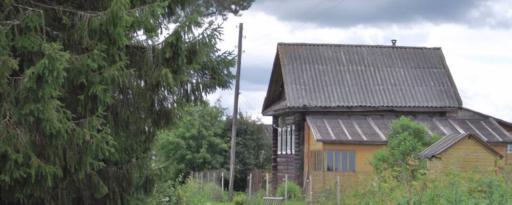 
            Фотография Пиляихи