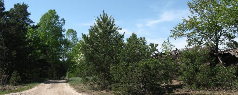 Фотография деревни Липники