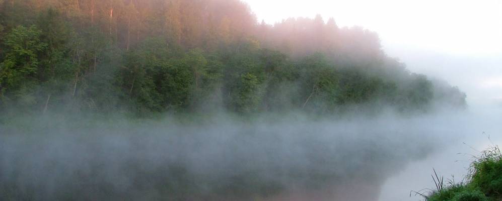 
            Фотография Новинки