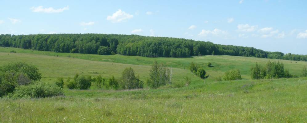 
            Фотография Бегичевских Выселок