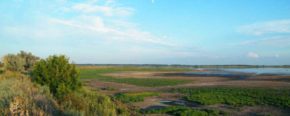 
            Фотография Остапцы