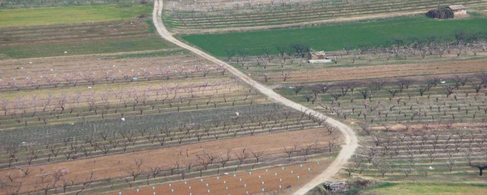 
            Фотография Сен-Дезира