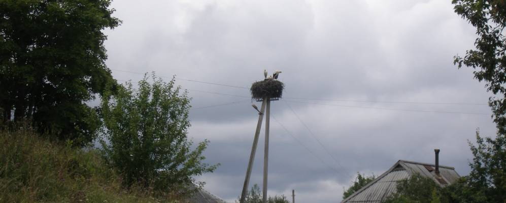 Фотография Секирницы