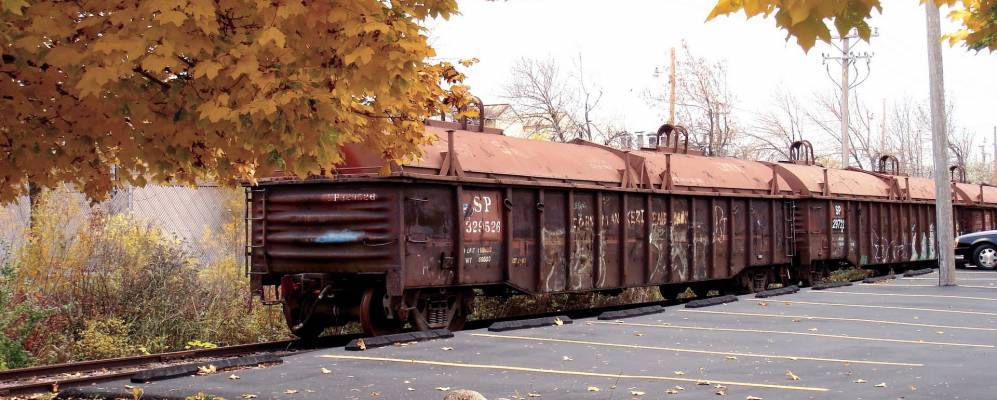 
            Фотография Элк Нроув Вилиджа