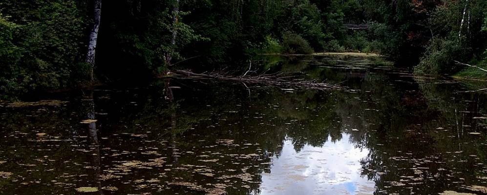 Фотография Бурашей