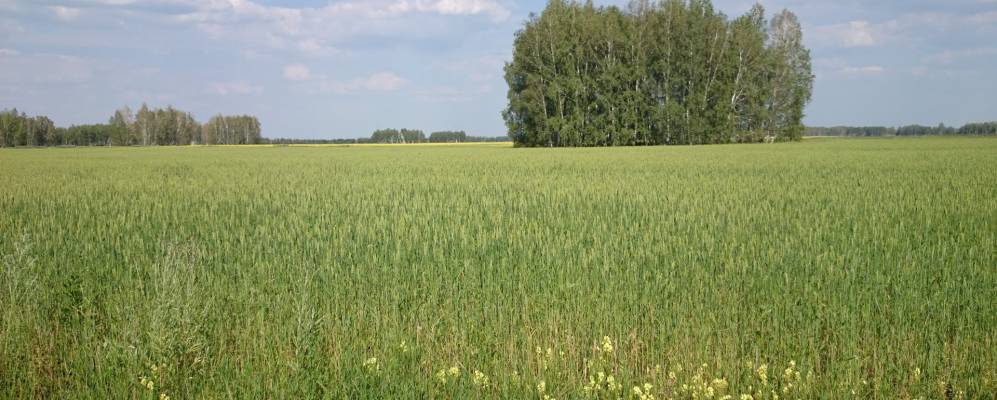 
            Фотография Имени Чапаева