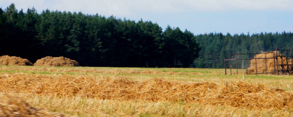 Фотография деревни Самищи