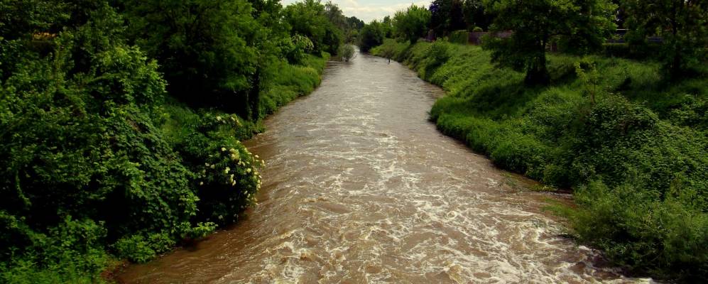 
            Фотография Гамбары