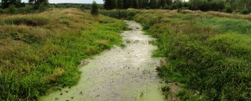 
            Фотография деревни Березняки